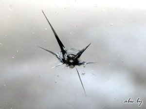 ремонт стекол