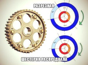 Разрезная шестерня