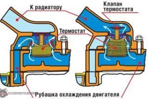 Что такое термостат