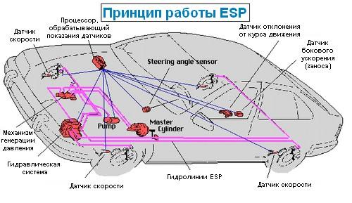ESP система: описание и принцип работы